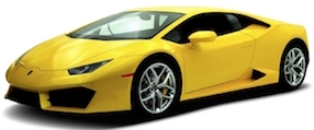 model image